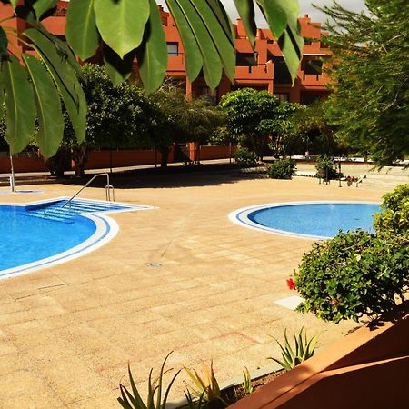 Alquilaencanarias El Medano Sotavento, Great Terrace And Beach Buitenkant foto